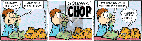 Garfield on Monday November 10, 2008 Comic Strip