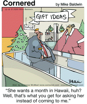 Cornered on Friday December 18, 2020 Comic Strip