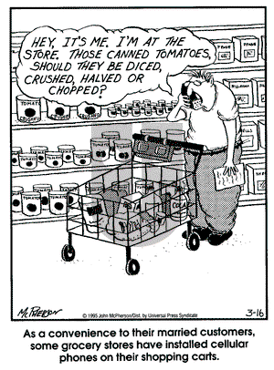 Close to Home on Thursday March 16, 1995 Comic Strip