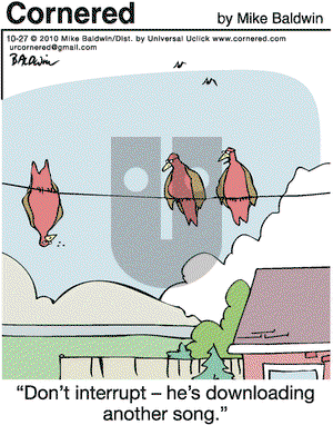 Cornered on Wednesday October 27, 2010 Comic Strip