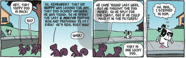 Pooch Cafe on Thursday August 16, 2012 Comic Strip