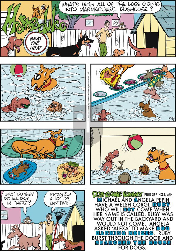 Marmaduke on Sunday August 29, 2021 Comic Strip