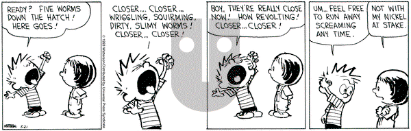 Calvin and Hobbes on Friday May 21, 1993 Comic Strip