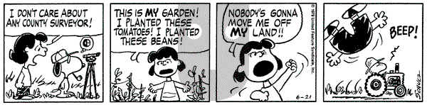 Peanuts on Thursday June 21, 1979 Comic Strip