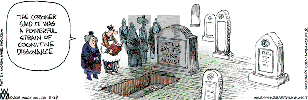 Non Sequitur on Thursday November 29, 2018 Comic Strip