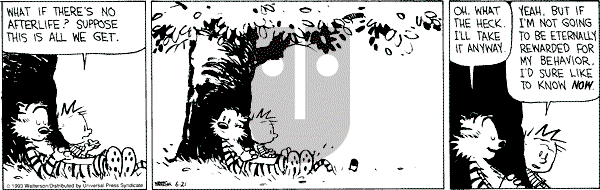 Calvin and Hobbes - Monday June 21, 1993 Comic Strip