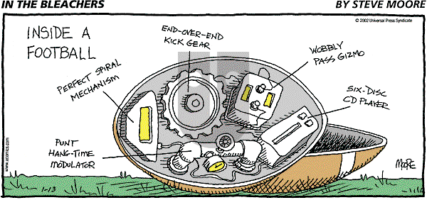 In the Bleachers - Sunday January 13, 2002 Comic Strip