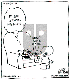 Kit 'N' Carlyle on Saturday November 15, 2003 Comic Strip
