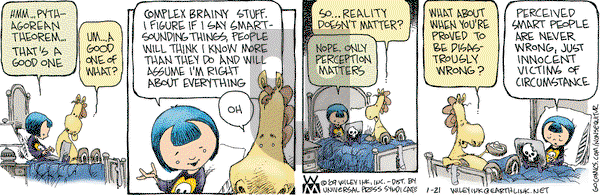 Non Sequitur on Wednesday January 21, 2009 Comic Strip