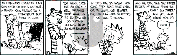 Calvin and Hobbes - Thursday March 7, 1991 Comic Strip