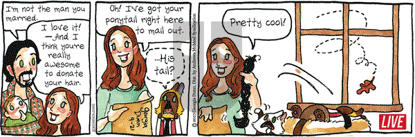 Breaking Cat News on Thursday September 21, 2017 Comic Strip