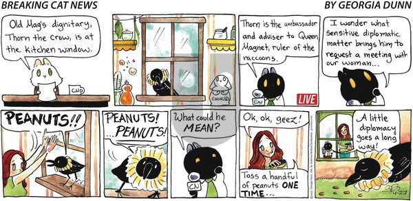 Breaking Cat News on Sunday April 27, 2025 Comic Strip