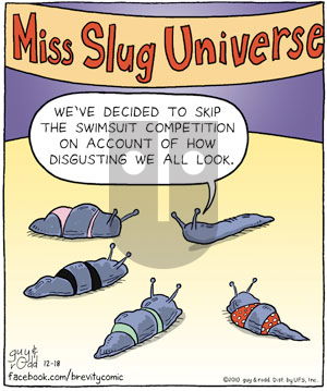 Brevity on Saturday December 18, 2010 Comic Strip