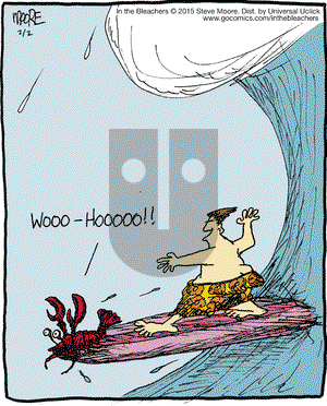 In the Bleachers on Monday February 2, 2015 Comic Strip