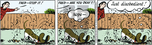 Fred Basset on Tuesday December 1, 2020 Comic Strip