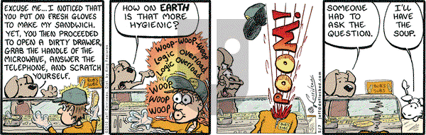 DeFlocked on Friday May 7, 2010 Comic Strip