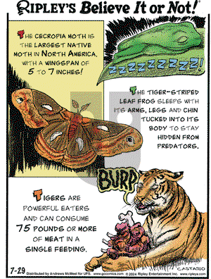Ripley's Believe It or Not - Monday July 29, 2024 Comic Strip