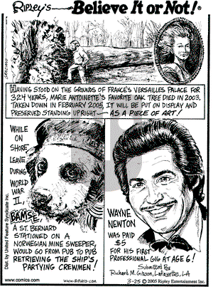 Ripley's Believe It or Not on Friday March 25, 2005 Comic Strip