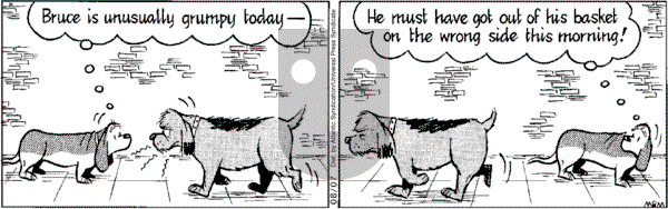 Fred Basset on Tuesday August 7, 2007 Comic Strip