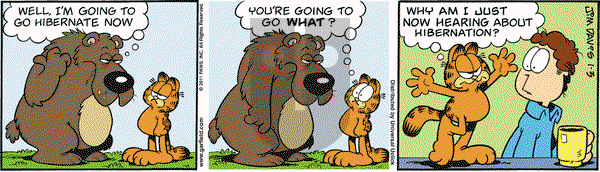 Garfield on Monday January 3, 2011 Comic Strip