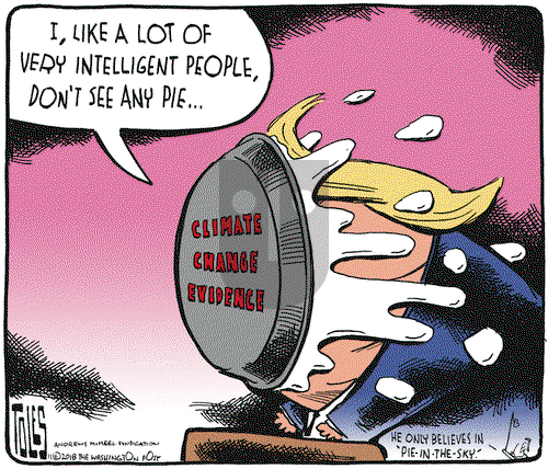 Tom Toles on Thursday November 29, 2018 Comic Strip