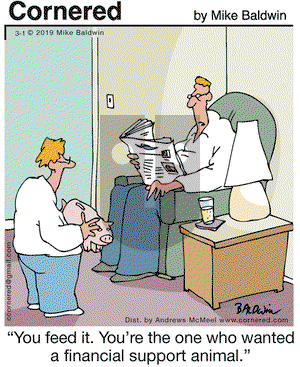Cornered on Friday March 1, 2019 Comic Strip