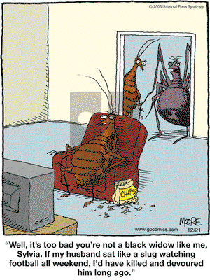 In the Bleachers on Friday December 21, 2007 Comic Strip