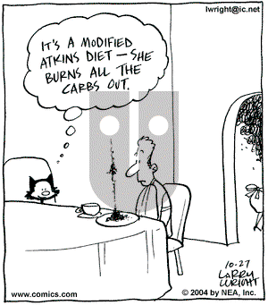 Kit 'N' Carlyle on Wednesday October 27, 2004 Comic Strip