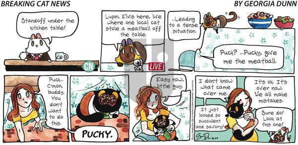 Breaking Cat News on Sunday August 23, 2020 Comic Strip