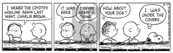 Peanuts on Saturday August 26, 1995 Comic Strip