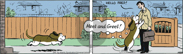 Fred Basset on Tuesday November 3, 2009 Comic Strip