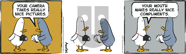 W.T. Duck on Tuesday January 6, 2009 Comic Strip