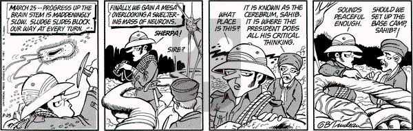 Doonesbury on Wednesday March 25, 1987 Comic Strip