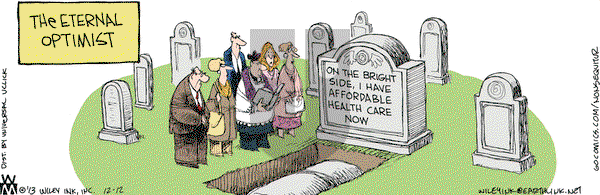 Non Sequitur on Thursday December 12, 2013 Comic Strip