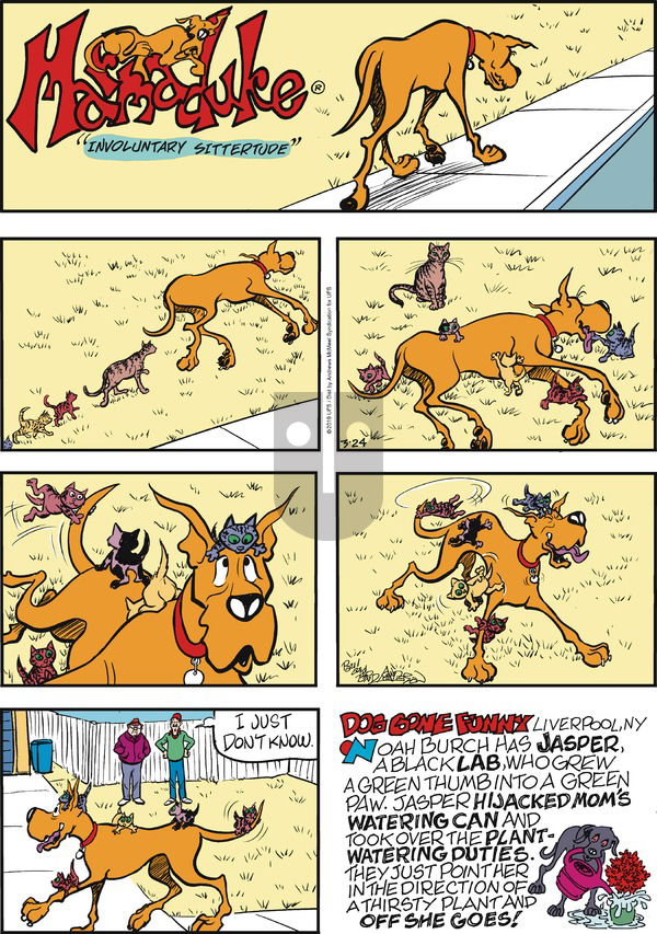 Marmaduke on Sunday March 24, 2019 Comic Strip
