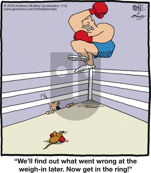 In the Bleachers on Thursday January 18, 2018 Comic Strip