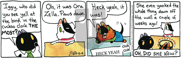 Breaking Cat News on Friday May 9, 2025 Comic Strip