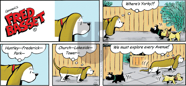 Fred Basset on Sunday May 23, 2010 Comic Strip