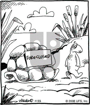 Reality Check on Saturday November 22, 2008 Comic Strip