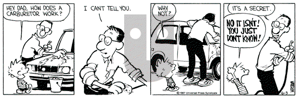 Calvin and Hobbes on Wednesday June 3, 1987 Comic Strip