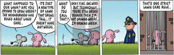 Pearls Before Swine - Monday December 28, 2009 Comic Strip