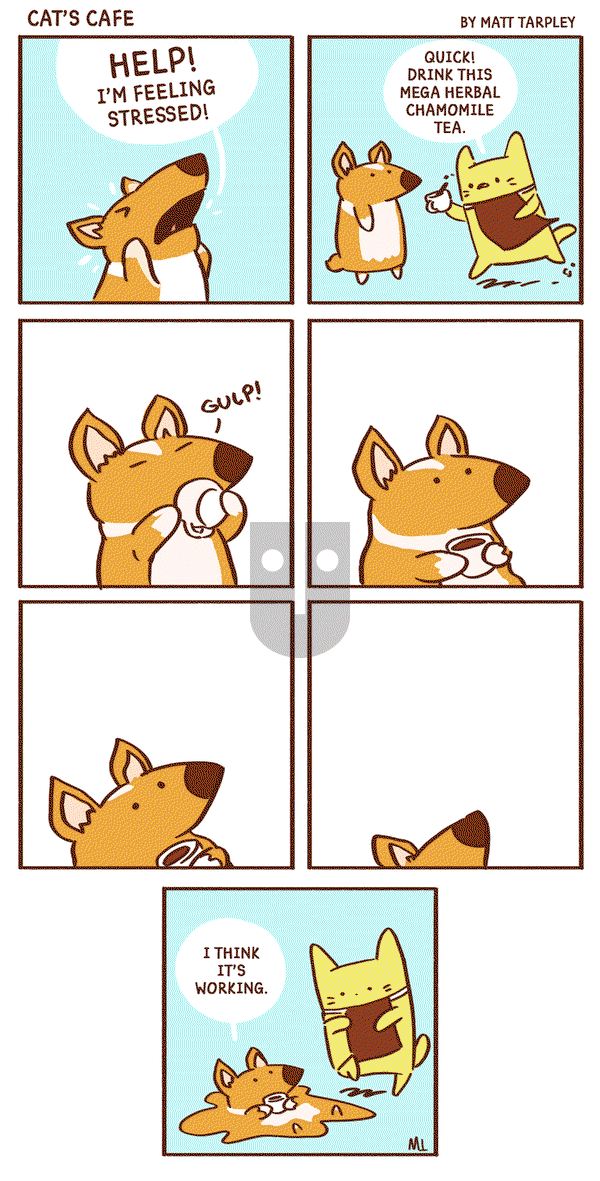 Cat's Cafe - Wednesday July 24, 2019 Comic Strip