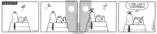 Peanuts on Tuesday November 20, 1973 Comic Strip