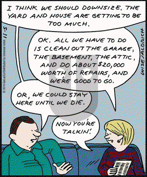 Real Life Adventures on Saturday November 5, 2016 Comic Strip