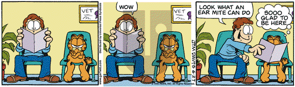 Garfield on Thursday July 20, 2006 Comic Strip