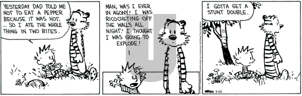 Calvin and Hobbes - Saturday August 26, 2023 Comic Strip