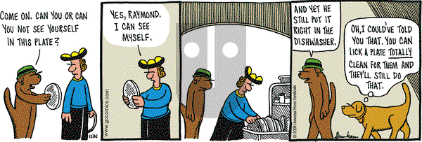 Overboard on Tuesday December 16, 2008 Comic Strip