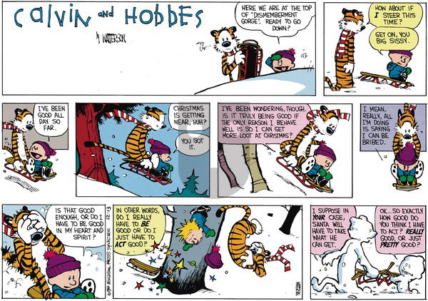 Calvin and Hobbes on Sunday December 11, 1988 Comic Strip