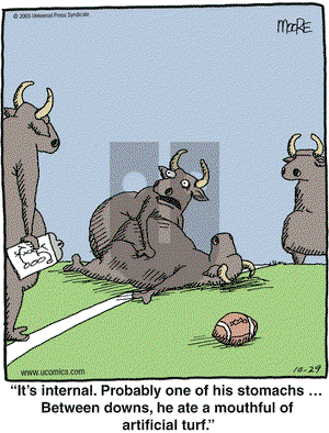 In the Bleachers on Saturday October 29, 2005 Comic Strip