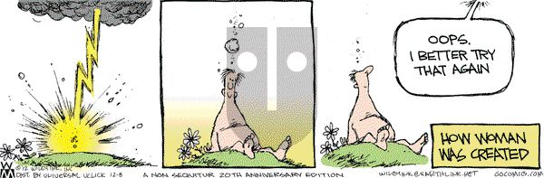 Non Sequitur on Saturday December 8, 2012 Comic Strip